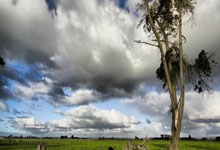 公交车“兼职”送快递 多地探索城市物流配送新模式